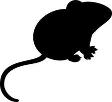 10-PACK FROZEN MICE 26G-40G