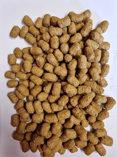 Mazuri tortoise food - food, 1kg