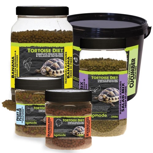 Komodo tortoise food - komodo,