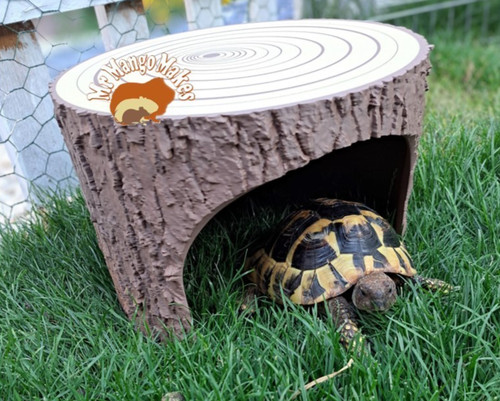Tortoise tree stump - tree,