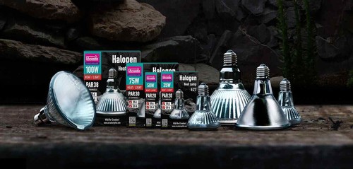 Arcadia halogen basking - halogen, spot