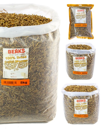 Dried calci worms for wild - calci,