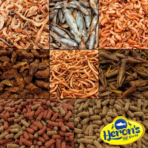 Herons dried food whole - food,