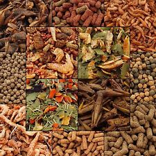 HERONS TURTLE, TERRAPIN AND