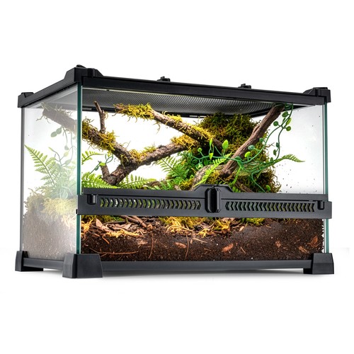 Glass reptile terrarium insect - glass,