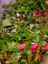 Fresh Organic Seasonal foraged