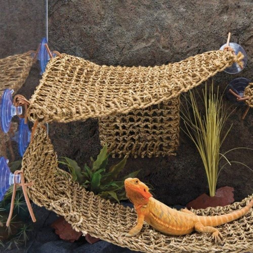Reptile hammock bearded - hammock,